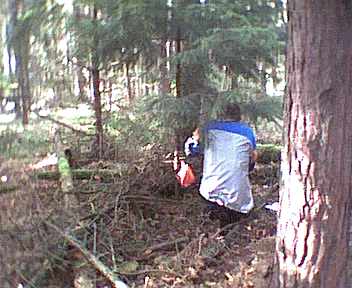 ../Images/Image12.jpg