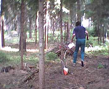 ../Images/Image35.jpg