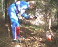 Thumbs/tn_Image29.jpg