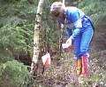 Thumbs/tn_Image31.jpg