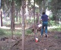 Thumbs/tn_Image35.jpg