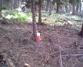 Thumbs/tn_Image36.jpg