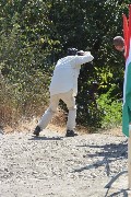 Thumbs/tn_Dsc_2384.jpg