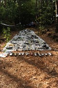 Thumbs/tn_Dsc_1538.jpg