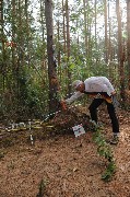 Thumbs/tn_Dsc_1540.jpg