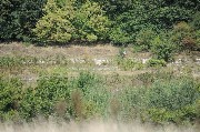 Thumbs/tn_Dsc_2209.jpg